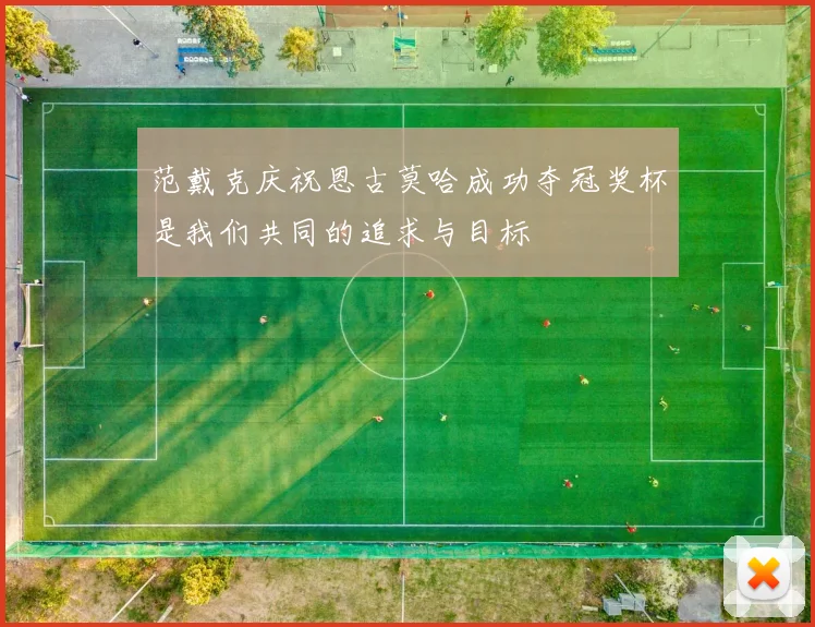 范戴克庆祝恩古莫哈成功夺冠奖杯是我们共同的追求与目标